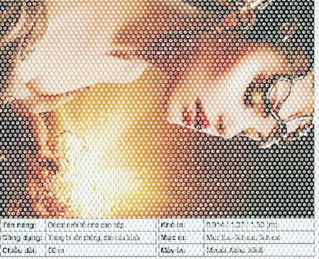 In decal lưới TPHCM và những ứng dụng thiết thực