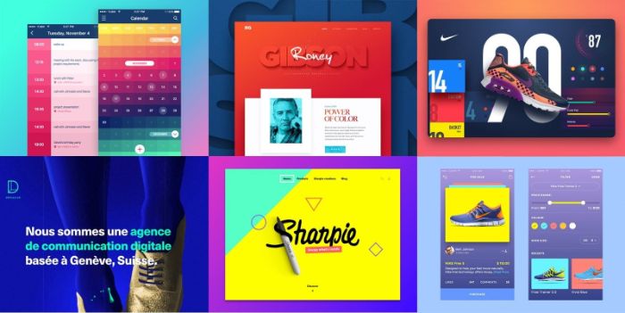 Design Bold đã sớm khẳng định được giá trị của mình